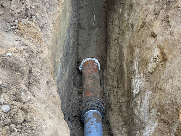 Best Sewage cleanup and water damage restoration  in Bettendorf, IA