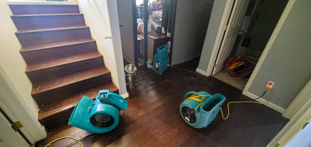 Best Emergency water damage restoration  in Bettendorf, IA