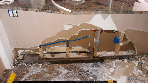 Best Professional water damage repair  in Bettendorf, IA