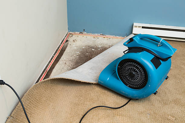 Professional Water damage restoration in Bettendorf, IA
